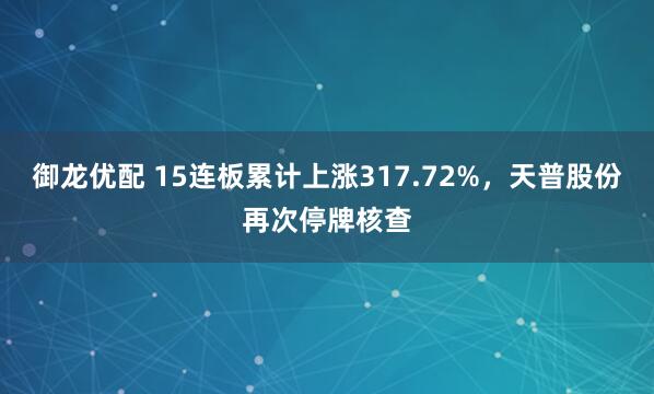 御龙优配 15连板累计上涨317.72%，天普股份再次停牌核查