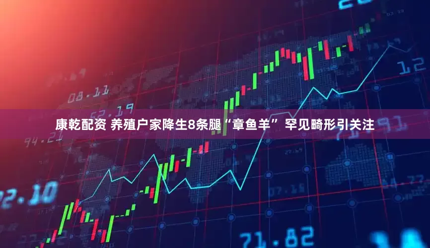 康乾配资 养殖户家降生8条腿“章鱼羊” 罕见畸形引关注